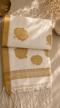 Suvarna - Handwoven Handloom Soft Cotton Saree