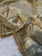 Teja - Glass Tissue Silk Saree with Handwork