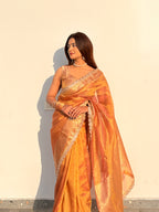 Ameesha - Tissue silk saree