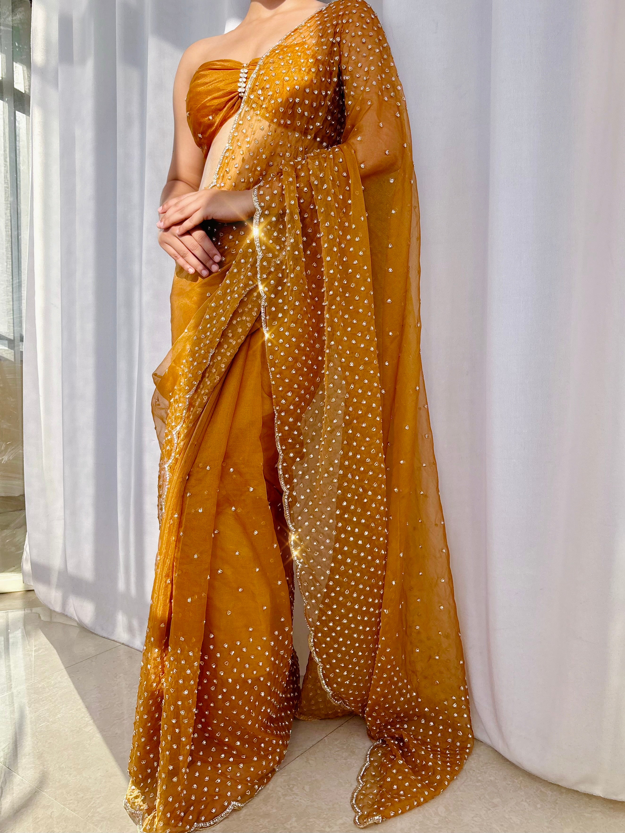 Miraaya - Designer Tissue Organza Saree with handwork