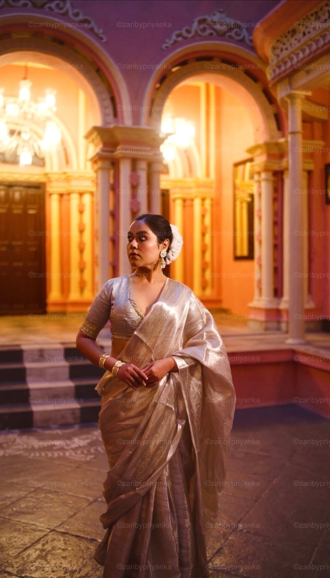 Ishita - Pure Brocade Tissue Silk Saree