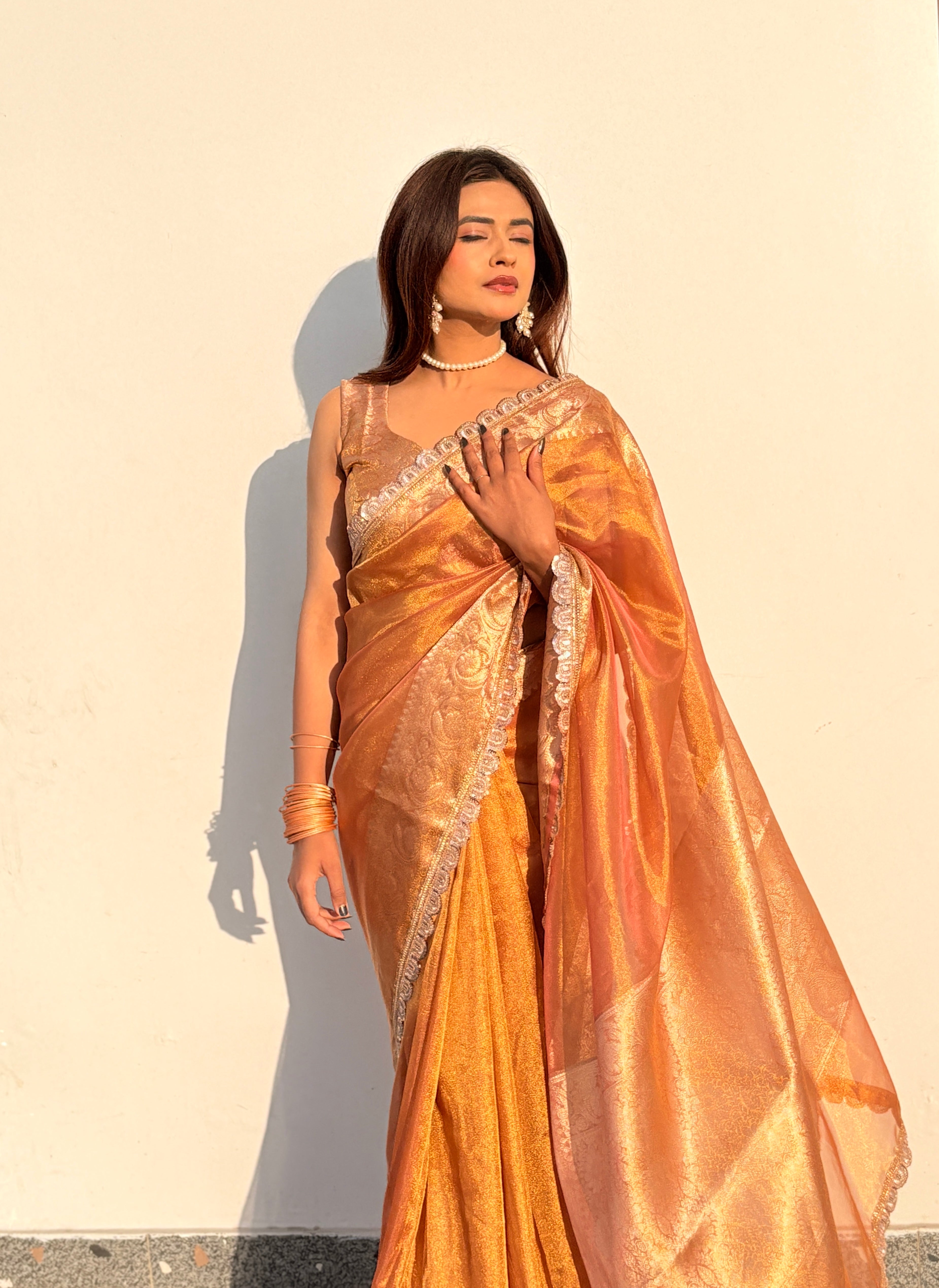 Ameesha - Tissue silk saree