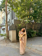 Naina - Soft Organza Saree with handwork