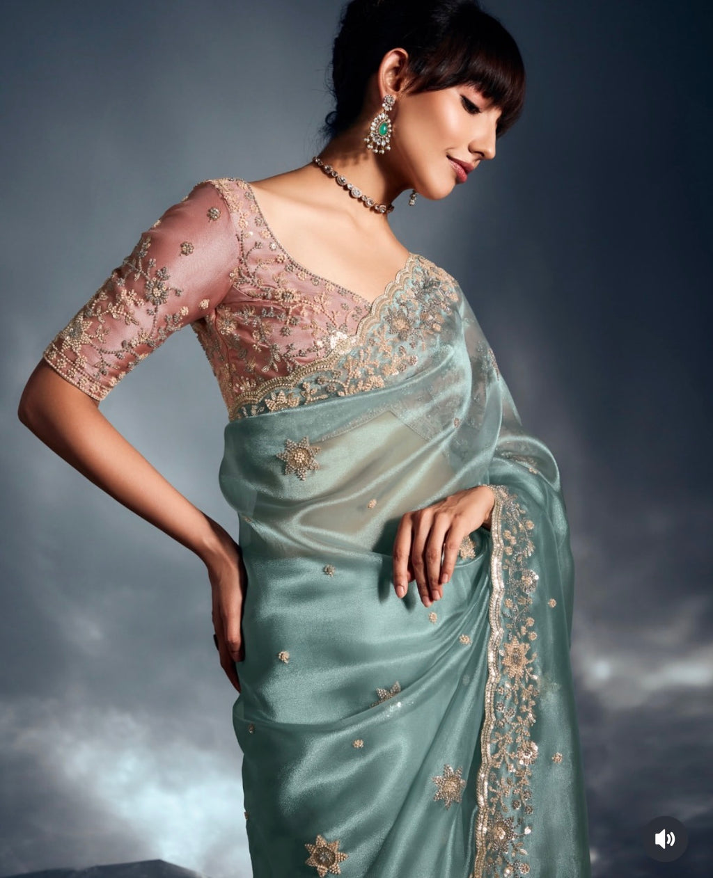 Fanah - Organza Crepe Silk Saree