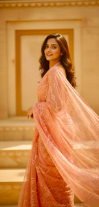 Peach - Monotone Sequin Handwork Pure Chiffon Saree