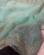 Masoom - Designer Tissue Organza Saree