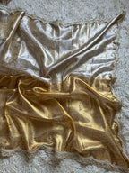 Alisha - Tissue silk saree