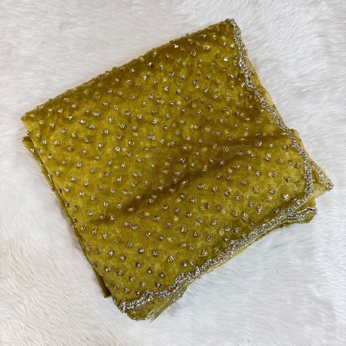 Neha 4 - Designer Tissue Organza Saree with handwork - Zari by Priyanka