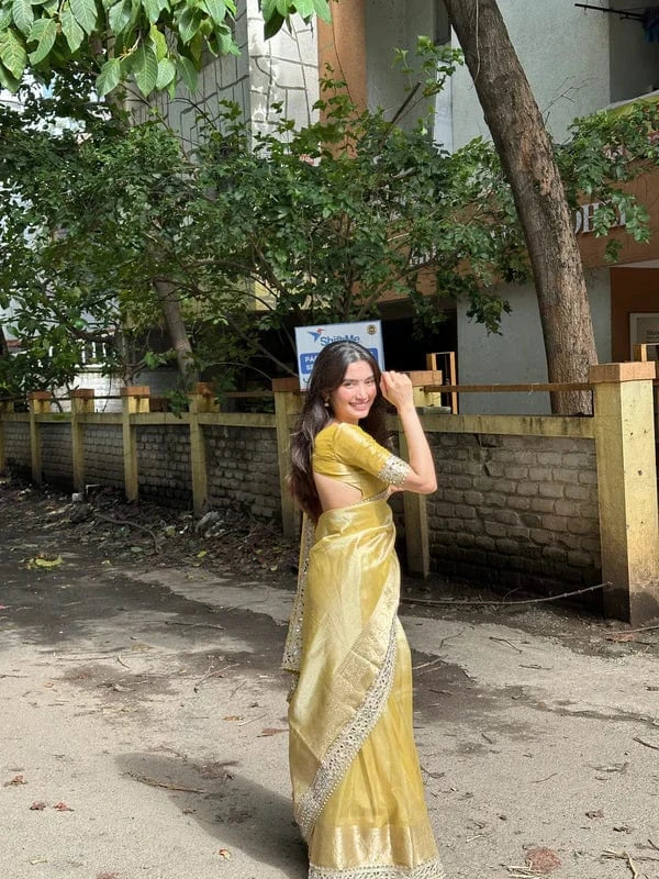 Kareena - Soft Tissue Banarasi Silk Saree