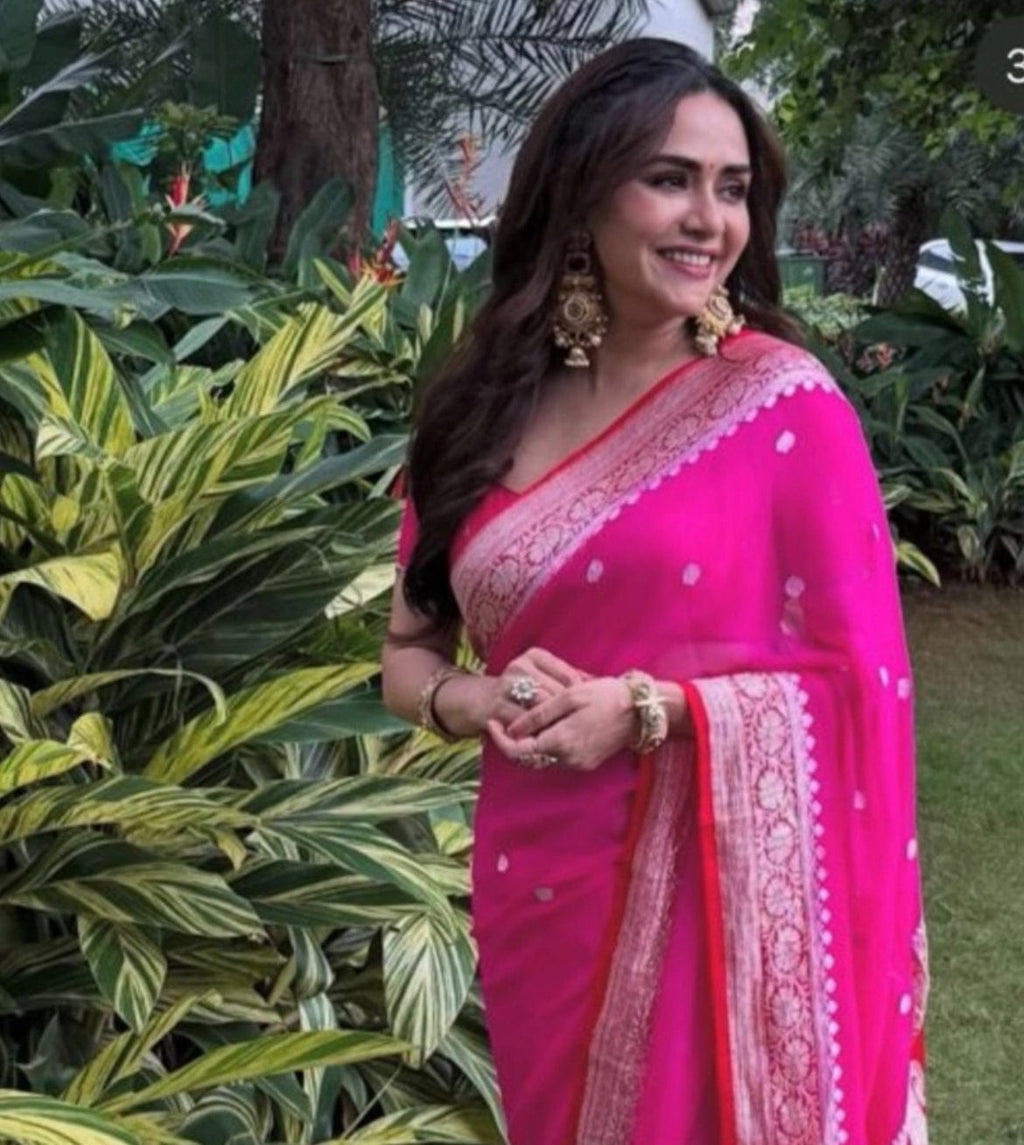 Disha - Pure Khaddi Chiffon Banarasi Saree
