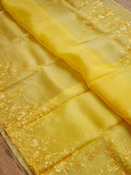 Jayanti - Pure Organza Silk with Embroidery
