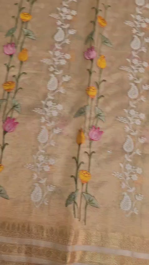 Anantara - Pure Tissue Organza Silk Plain Saree with Special Tassels