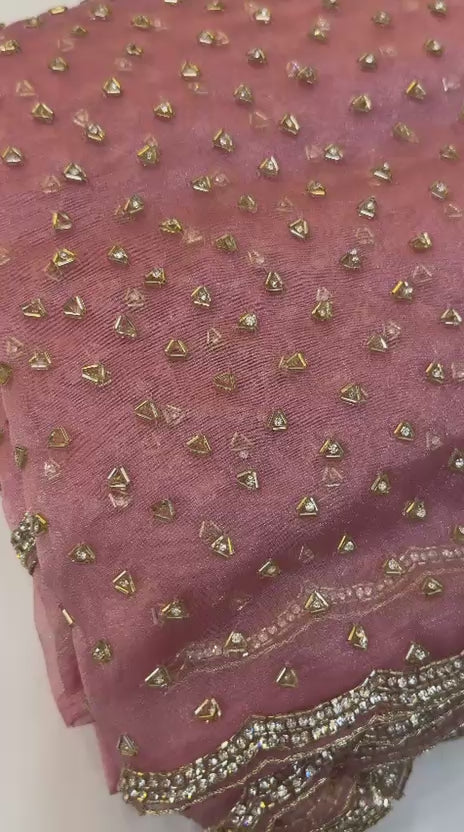Neha 4 - Designer Tissue Organza Saree with handwork