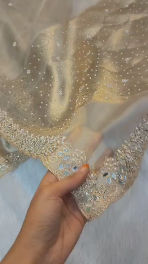 Shehnaz - Maharani Glass Tissue Silk Saree with Handwork