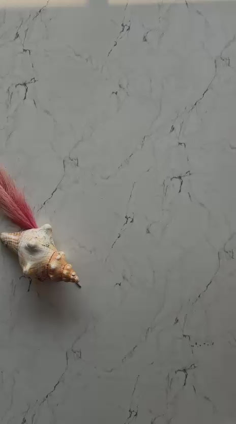 Jinal - Designer Crepe Silk Saree